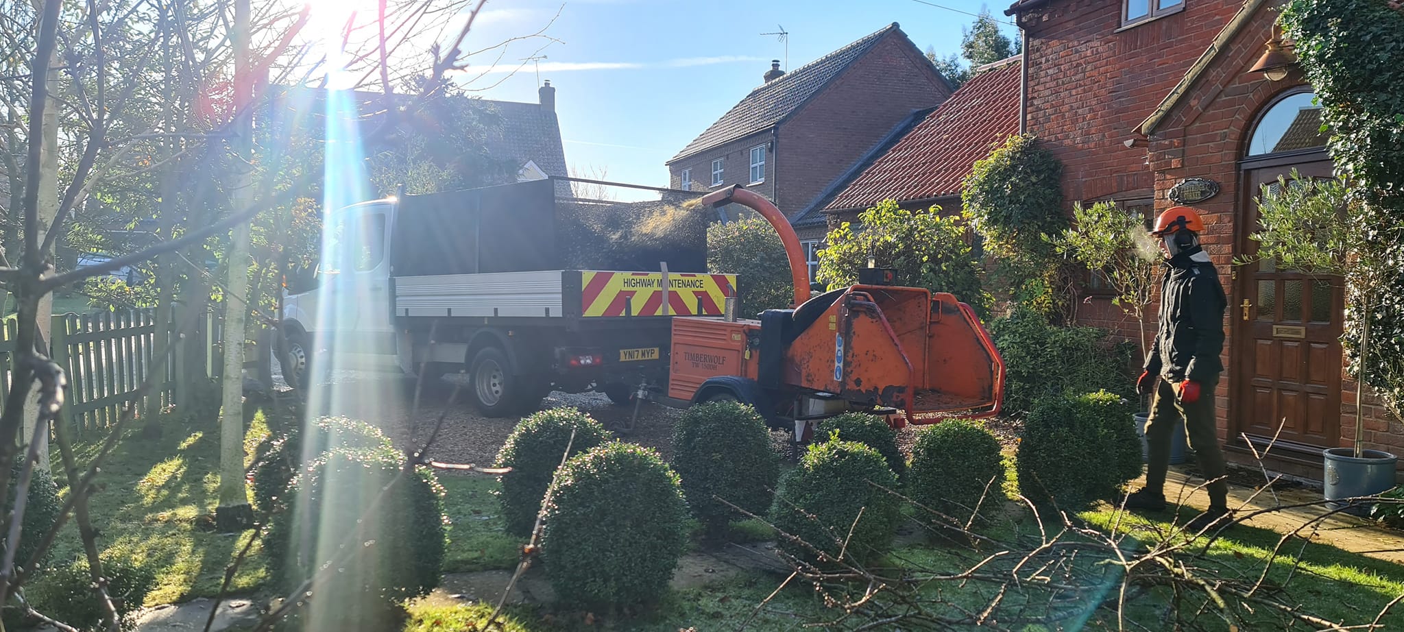 tree care in Norfolk