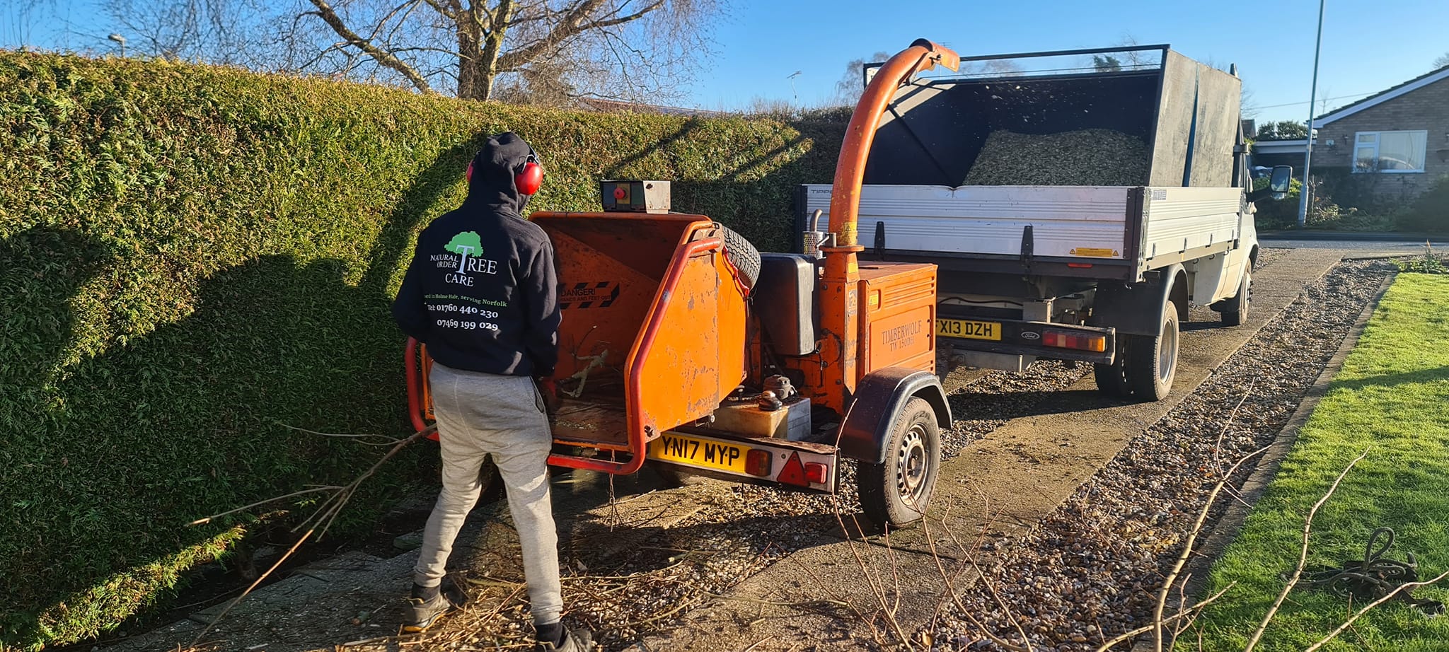 Tree Surgeon in Norfolk