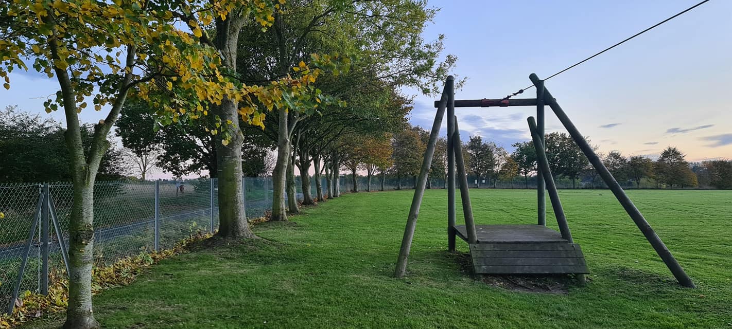 tree care in Norfolk